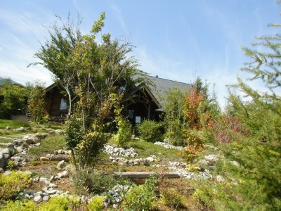 入り口のところのアプローチの植栽はご夫婦で手づくりで石も積み植えられたそうです。