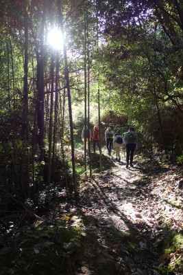 木漏れ日を浴び吉備の中山を歩く