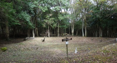 足跡と言われれば・・・?