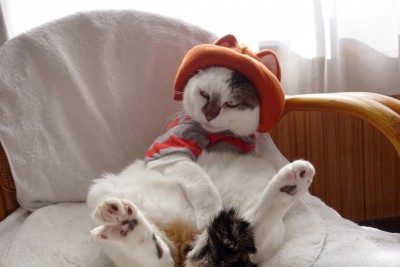 なぜかこのポーズでフリーズ