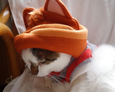 まだ状況が分かっていない