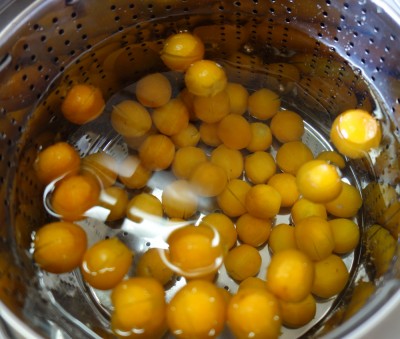 冷水に長時間つけてニガミをとる