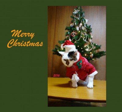 2016xmas2